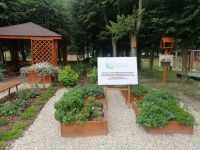 image000000(5)